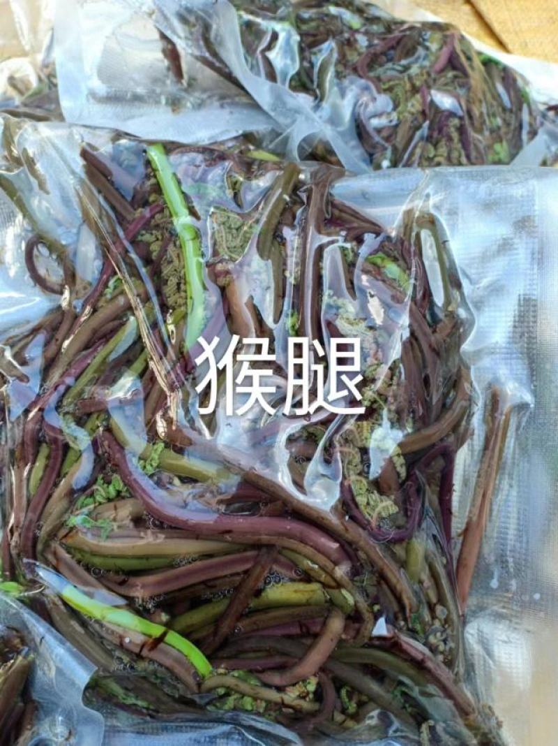 东北特色山野菜速冻包装！纯野生山菜，嫩菜！