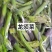 东北特色山野菜速冻包装！纯野生山菜，嫩菜！