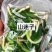 东北特色山野菜速冻包装！纯野生山菜，嫩菜！