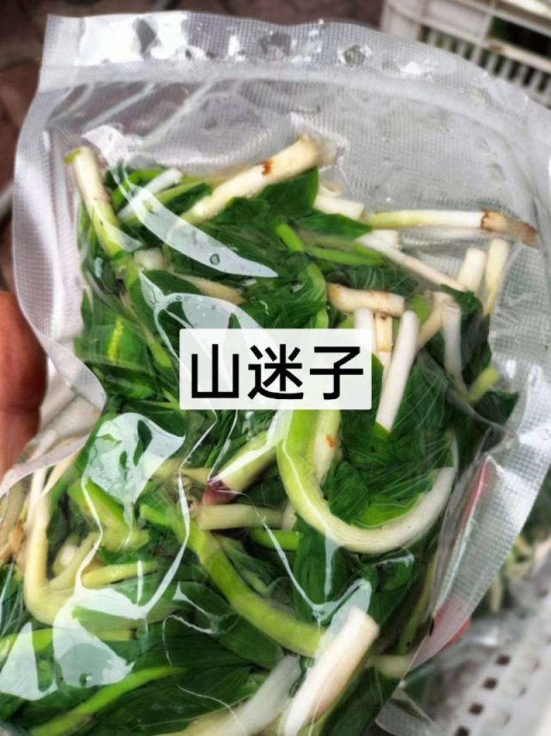 东北特色山野菜速冻包装！纯野生山菜，嫩菜！