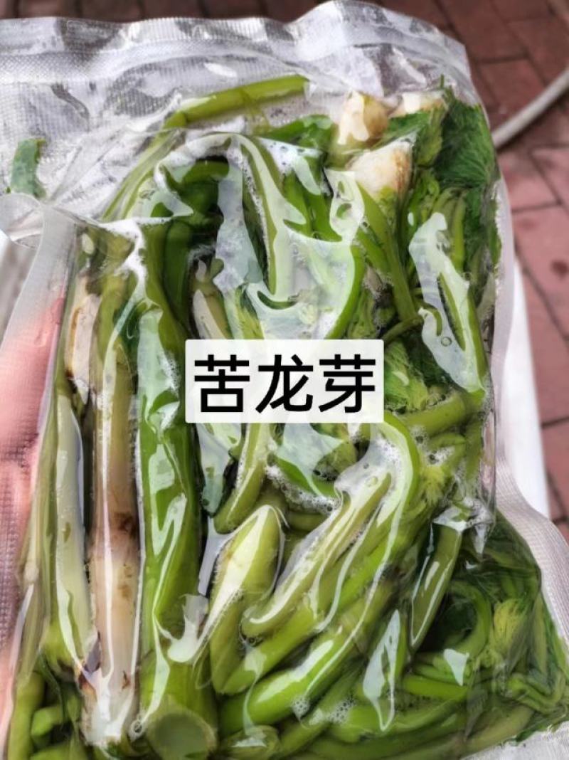 东北特色山野菜速冻包装！纯野生山菜，嫩菜！