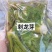 东北特色山野菜速冻包装！纯野生山菜，嫩菜！