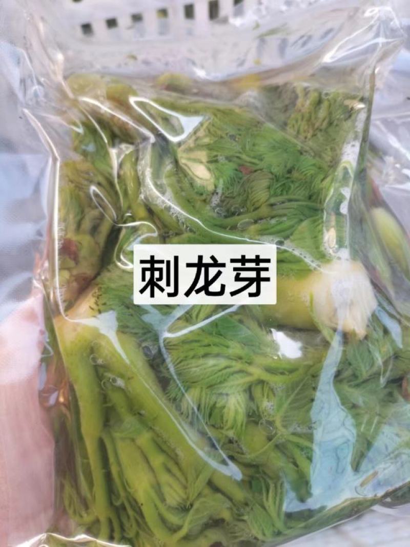 东北特色山野菜速冻包装！纯野生山菜，嫩菜！