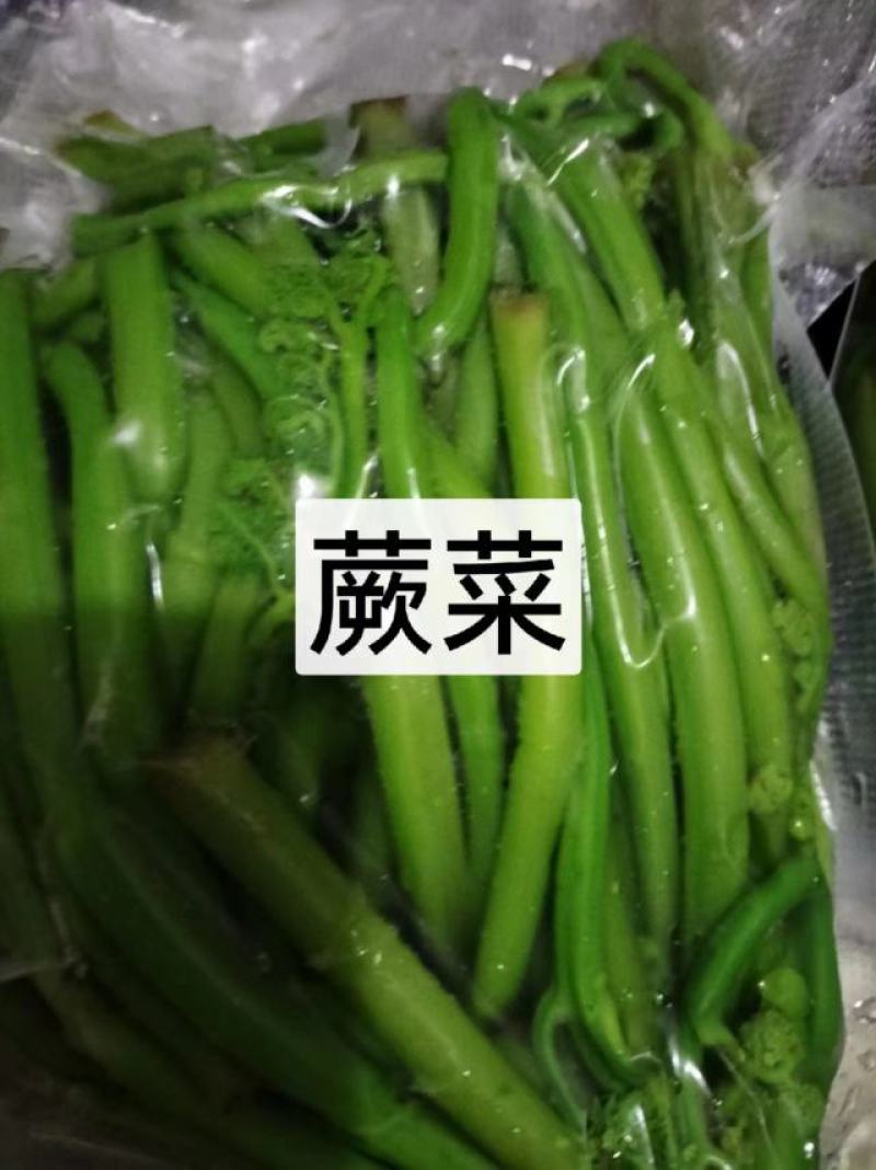 东北特色山野菜速冻包装！纯野生山菜，嫩菜！