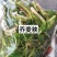 东北特色山野菜速冻包装！纯野生山菜，嫩菜！