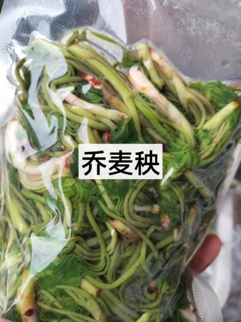 东北特色山野菜速冻包装！纯野生山菜，嫩菜！