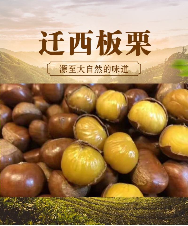 【店庆精品促销】迁西板栗软糯香甜规格齐全坏果包赔