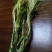 荔枝干，霸王花干