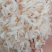 淡干无盐虾皮规格齐全味道美味货源充足！