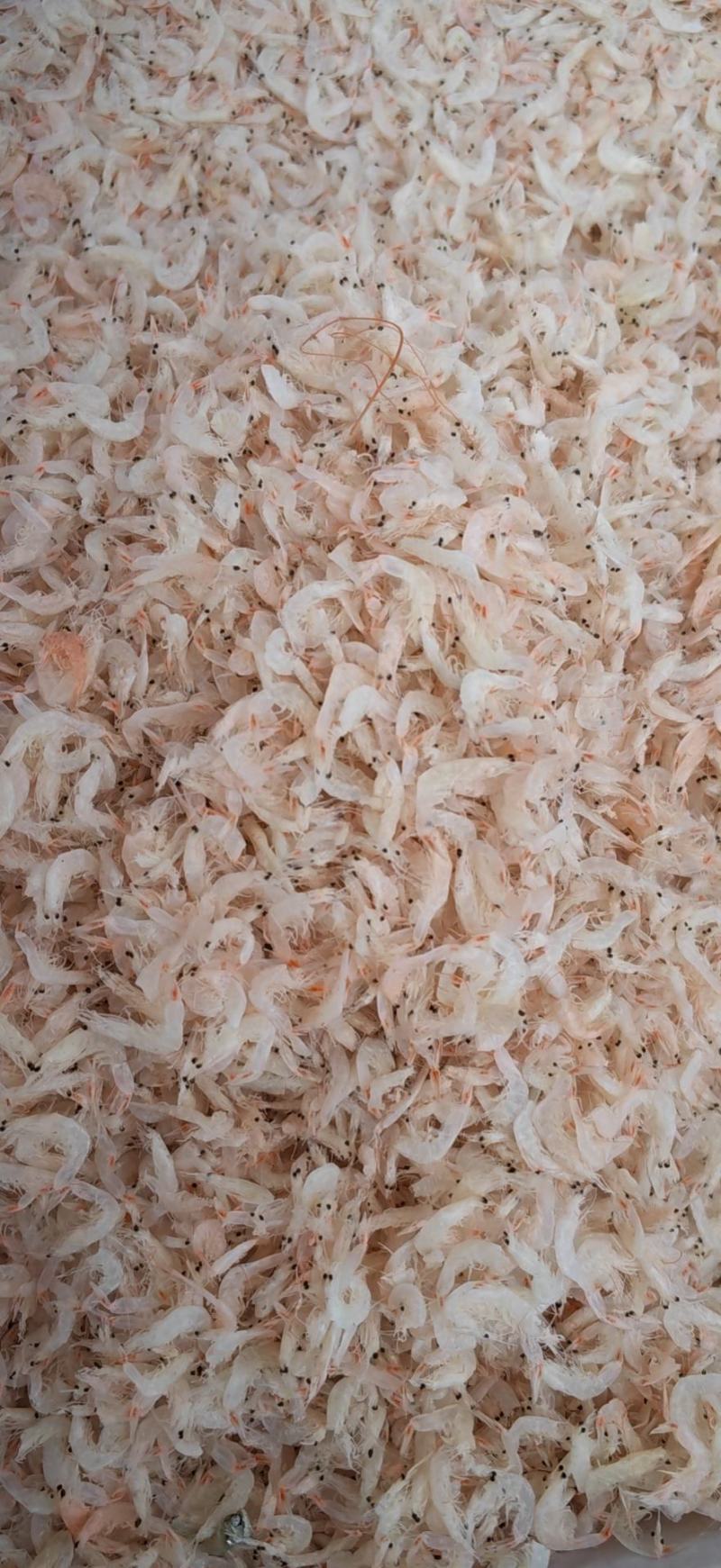 淡干无盐虾皮规格齐全味道美味货源充足！