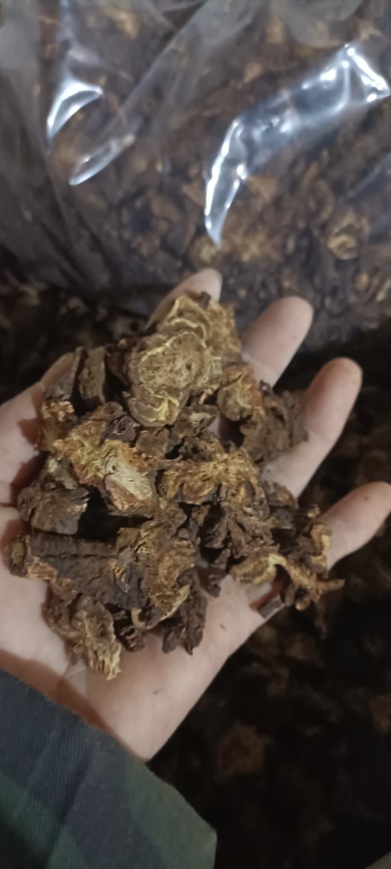 羌活，过筛，无杂质，气味浓，量大从优欢迎各位大佬下单