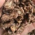 羌活，过筛，无杂质，气味浓，量大从优欢迎各位大佬下单