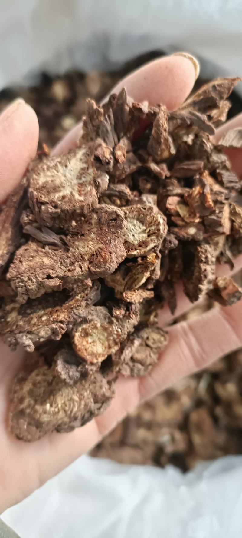 羌活，过筛，无杂质，气味浓，量大从优欢迎各位大佬下单