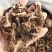 羌活，过筛，无杂质，气味浓，量大从优欢迎各位大佬下单