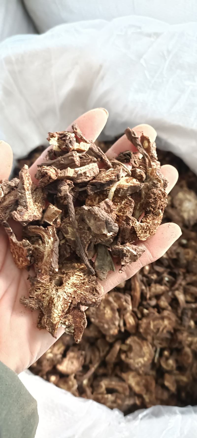 羌活，过筛，无杂质，气味浓，量大从优欢迎各位大佬下单