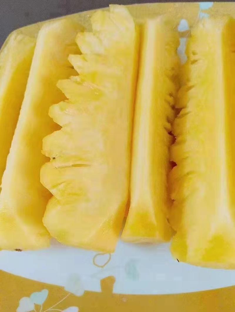 湛江徐闻精品菠萝大量供应量大从优诚信经营质量保证