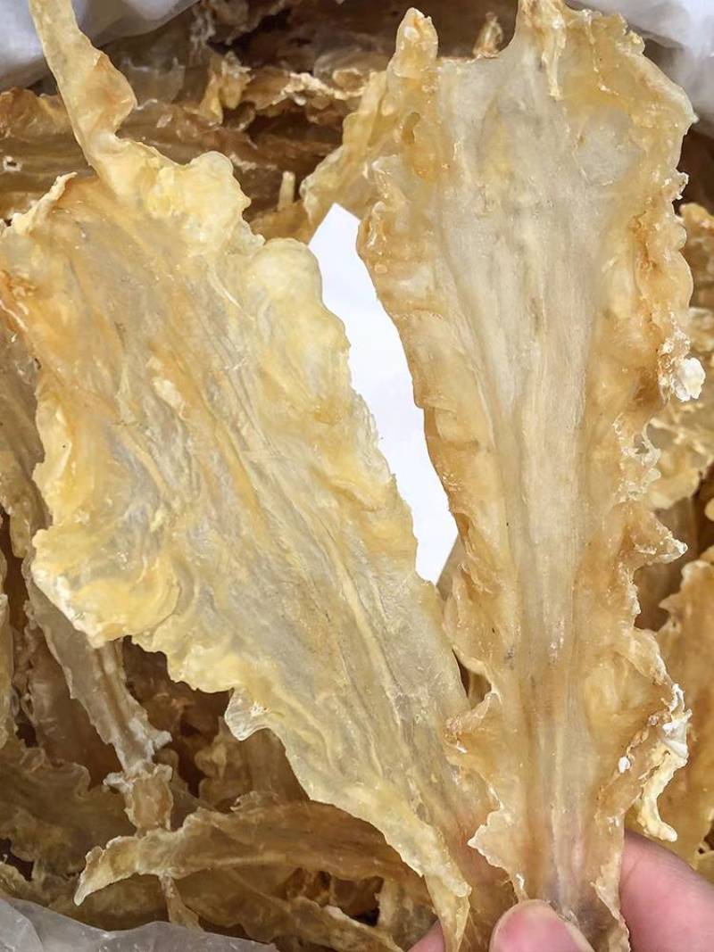 花胶鳕鱼胶鱼胶干货鱼鳔鱼泡鱼肚泡发率高滋补煲汤