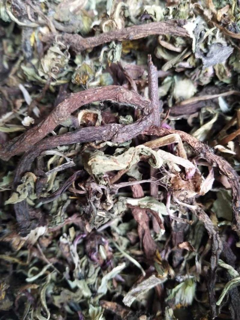 蒲公英，手选野生，带根全棵，高含量，支持在线下单