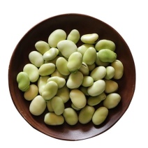 2023年新蚕豆新鲜大理上市量大从优，豆米
