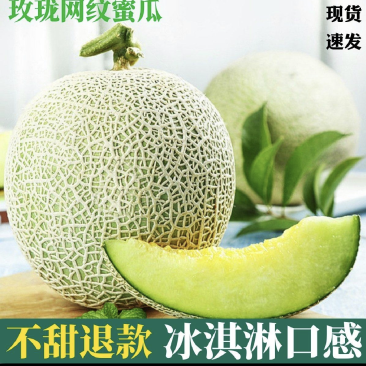 海南网纹瓜。哈密瓜。大量上市供应给他当口及超市。