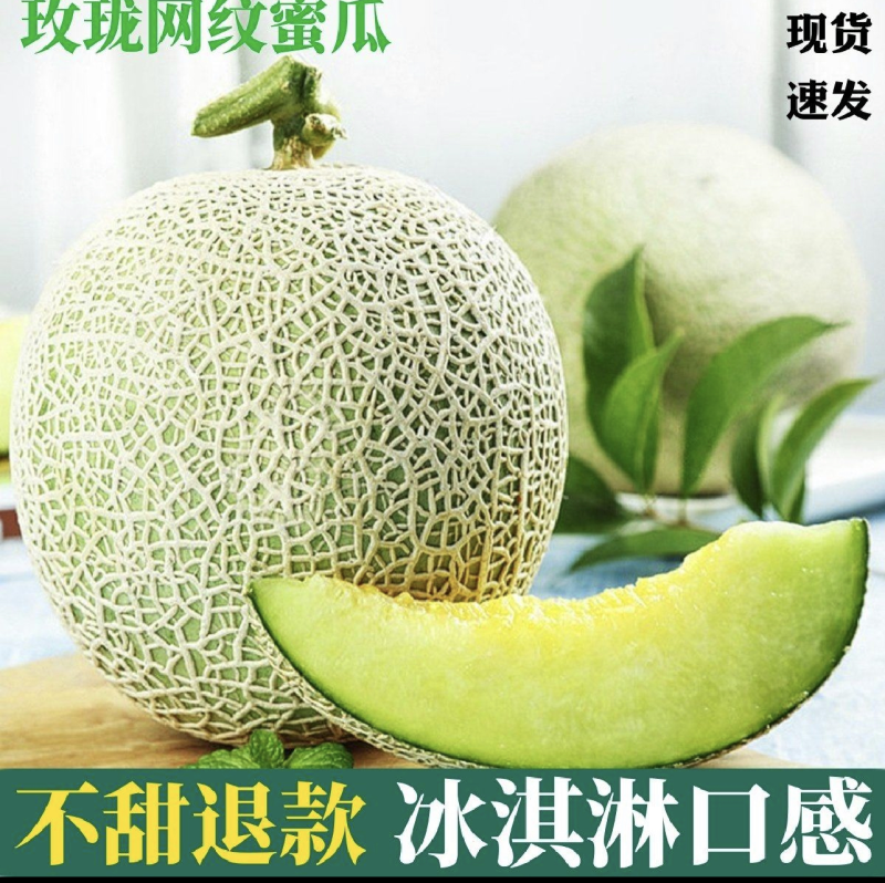 海南网纹瓜。哈密瓜。大量上市供应给他当口及超市。