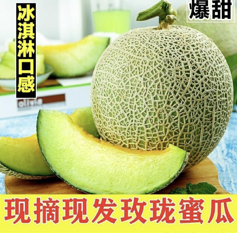 海南2级玫龙蜜瓜大量上市，供应各大超市，及各大挡口