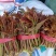 红油香椿，头茬香椿大量上市