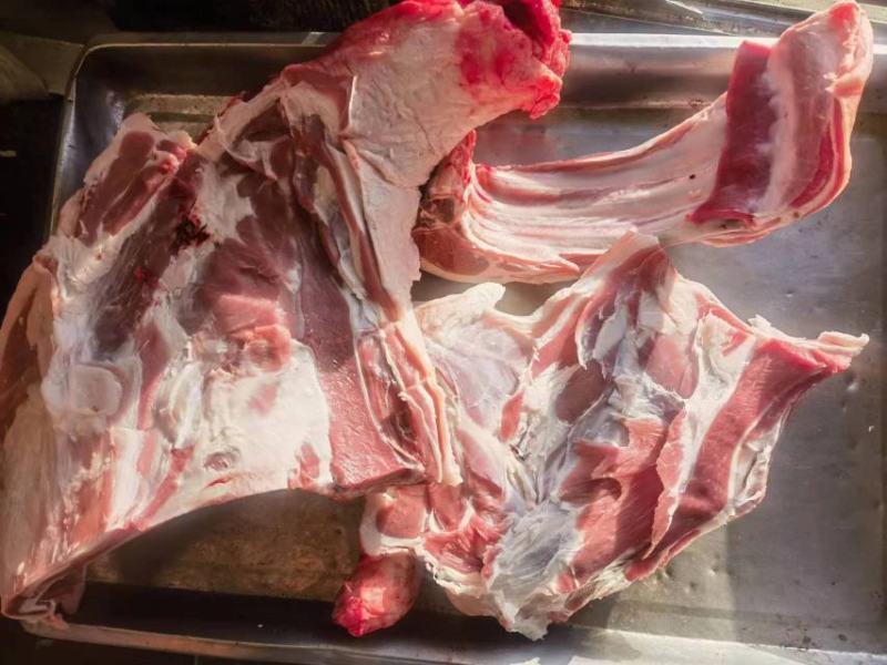 甘肃祁连牧场羔羊肉，产地直销，通体白条，品质好