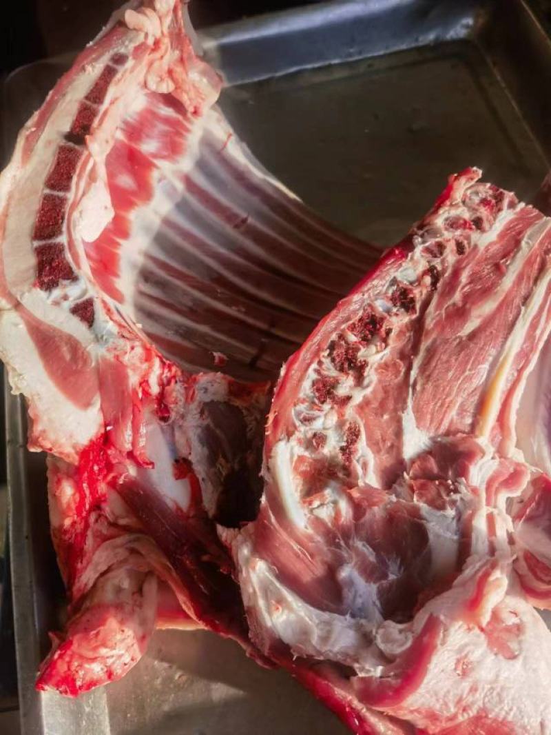 甘肃祁连牧场羔羊肉，产地直销，通体白条，品质好