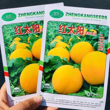 高品质礼品三倍体无籽西瓜种子中熟大果黄皮红瓤无籽瓜种籽