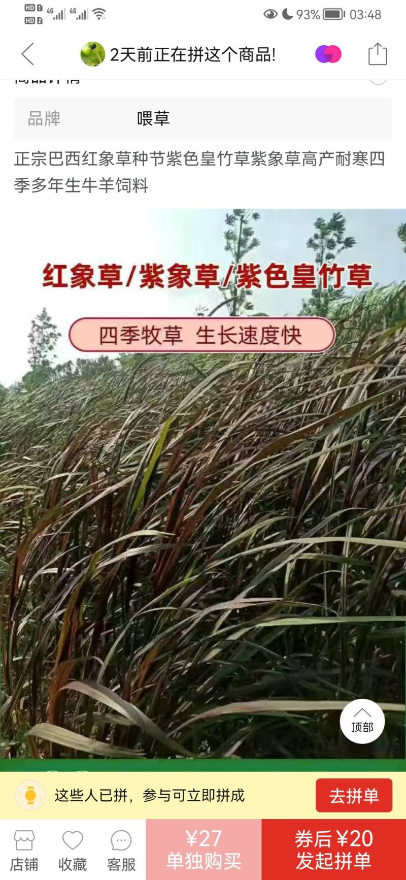 【单芽】原生态新品种皇竹5号牛马羊食用四季牧草
