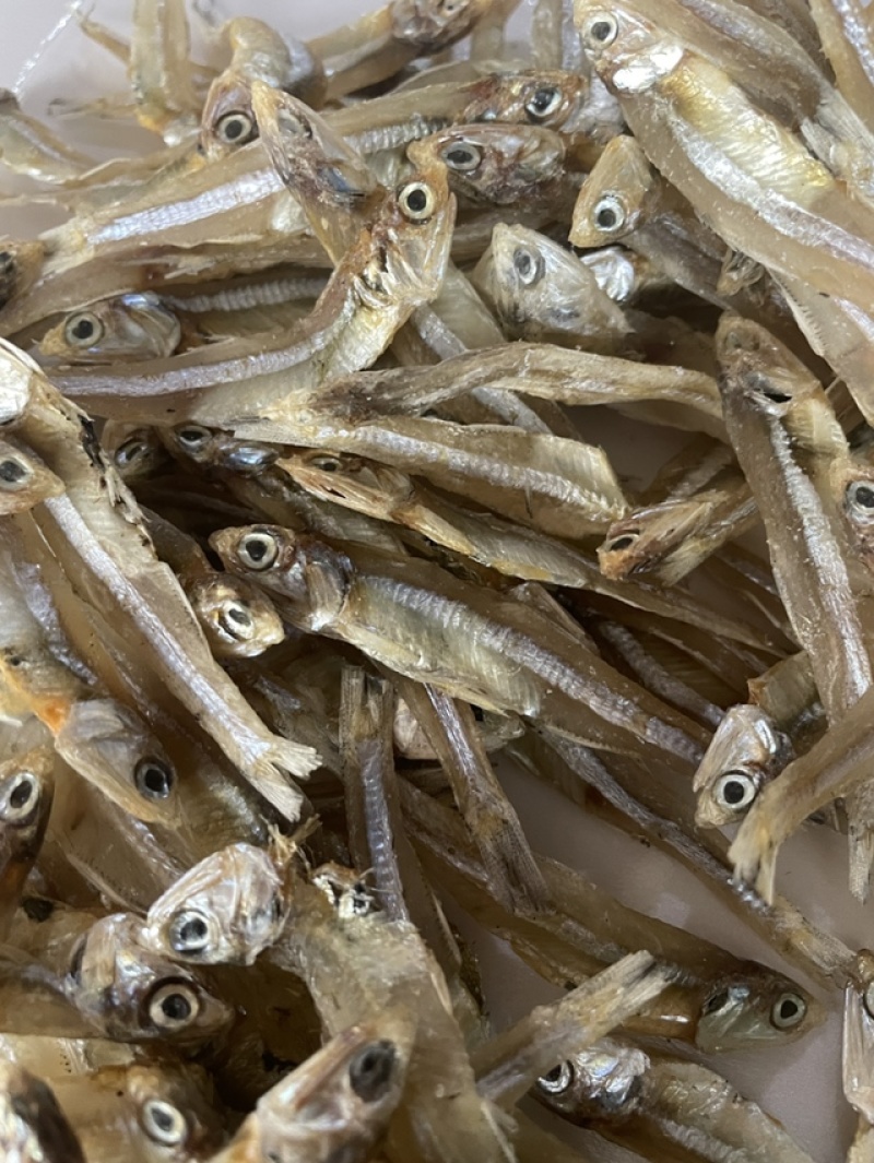 淡干深海小鱼干地摊公干鱼银鱼鲈鱼鲳鱼沙丁鱼肉角鱼