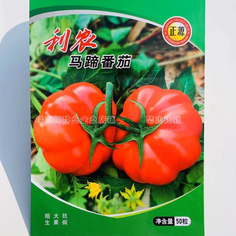 利农马蹄番茄种子杂交种基地专用甜味足口感好大红西红柿种子