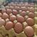 全年大量供应普通鸡蛋褐壳蛋，长期稳定货源
