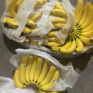 香蕉一件27斤毛重29斤青头二级焦