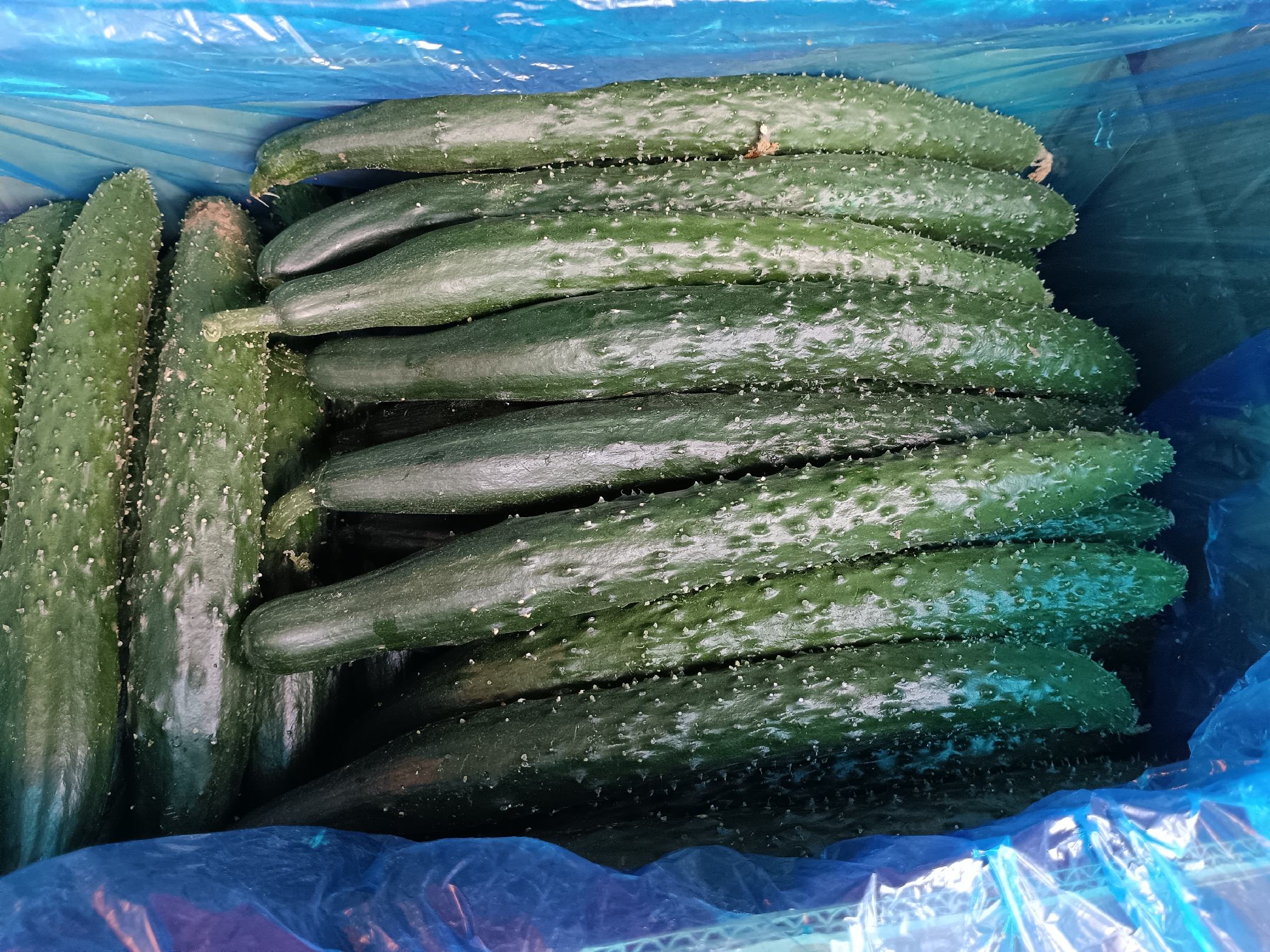 健康饮食示意图