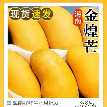 海南热带水果金煌芒果