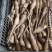 白玉山药种苗1到2两豆苗