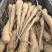 白玉山药种苗1到2两豆苗