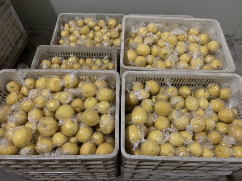 尤力克青柠檬深加工产品展示