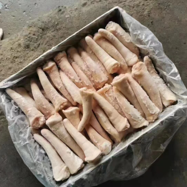 中尾