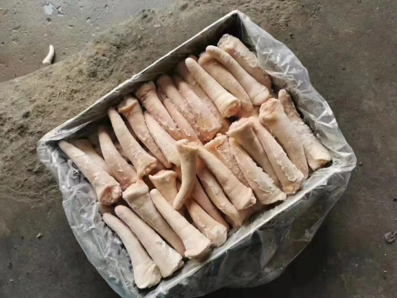 中尾