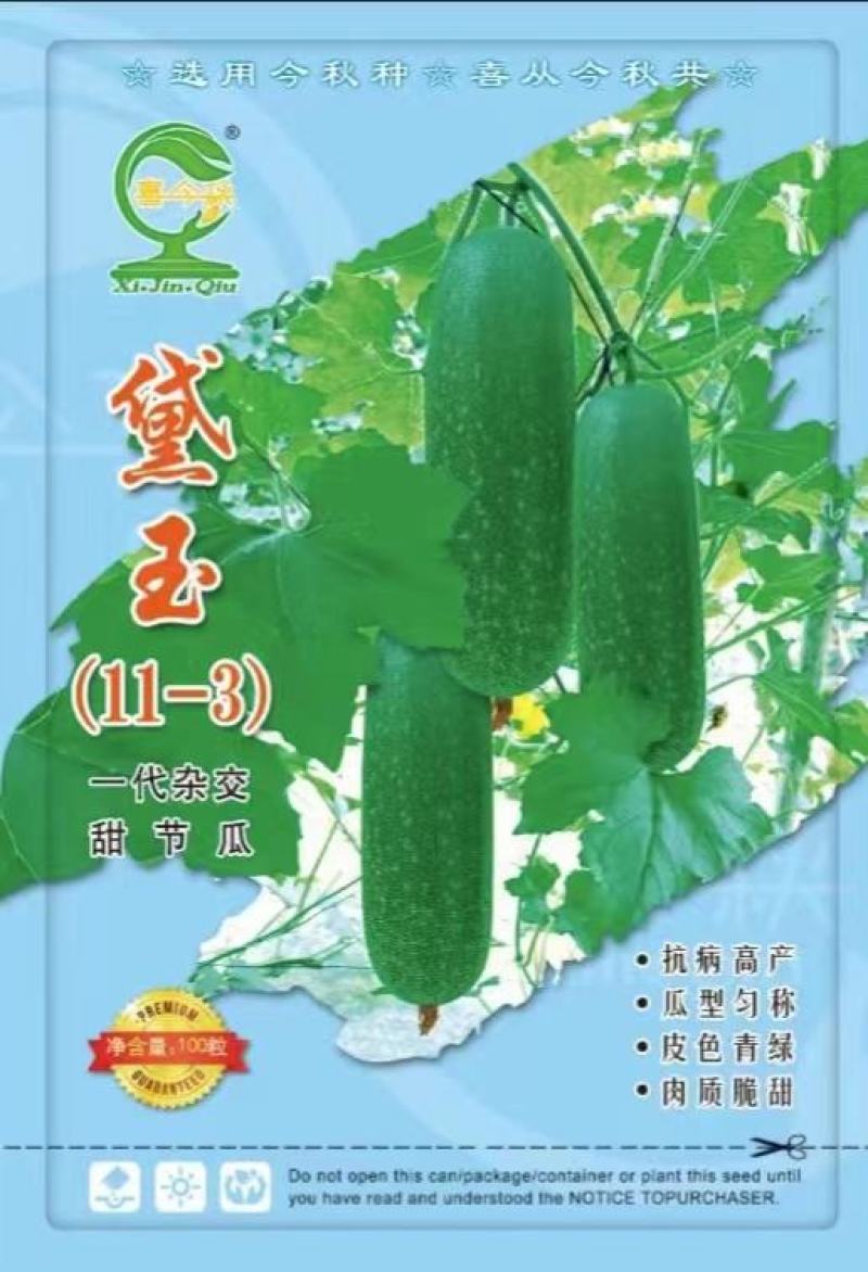 黛玉（11-3）甜节瓜一代杂交抗病高产