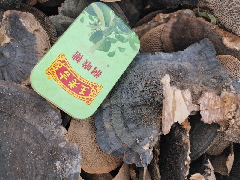 蜂窝灵芝，大山深处的货，干净无硫，实惠值得购买的好药材，