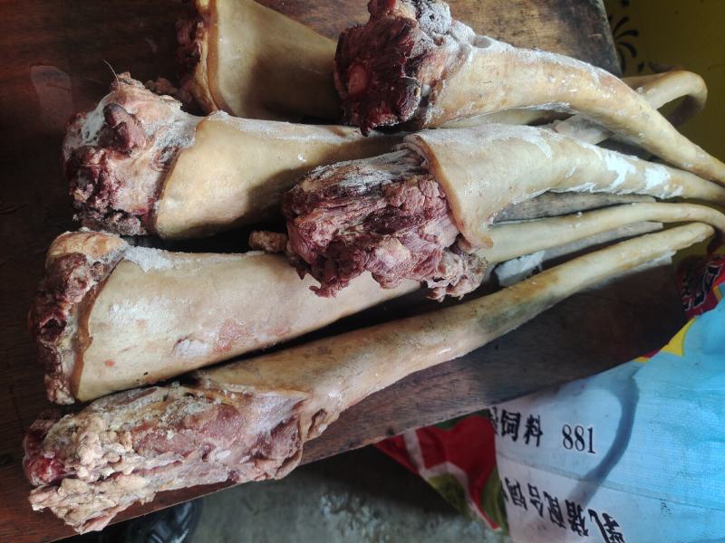 新鲜牛尾巴