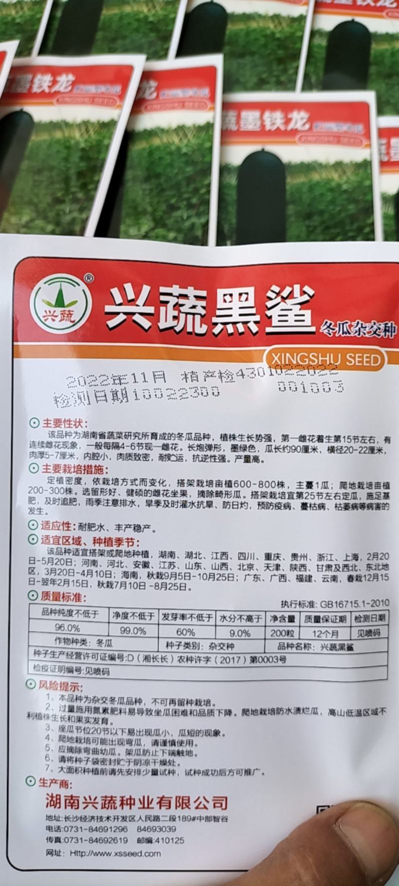 精品冬瓜种子墨地龙,墨铁龙，黑鲨,墨宝,,银狐等