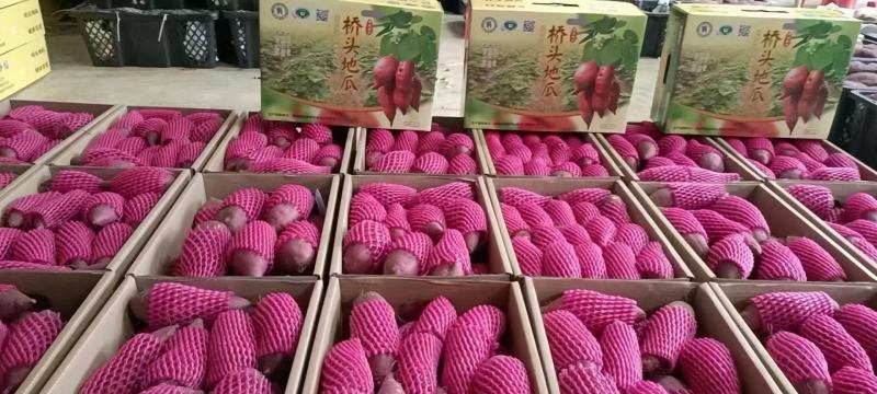 桥头地瓜开挖，承接整车，零售，批发，价格优惠