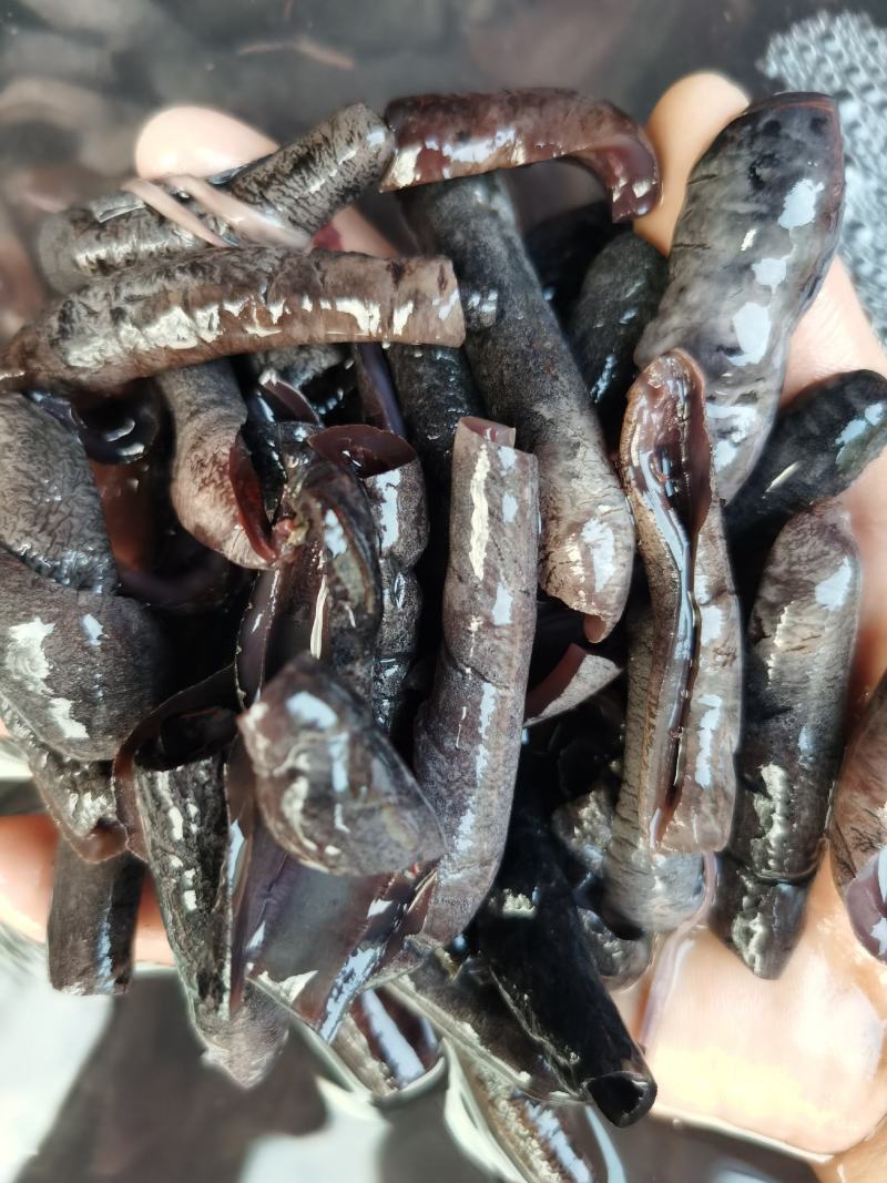 海参条海参块乌参八成干酒店专用欢迎加工订制