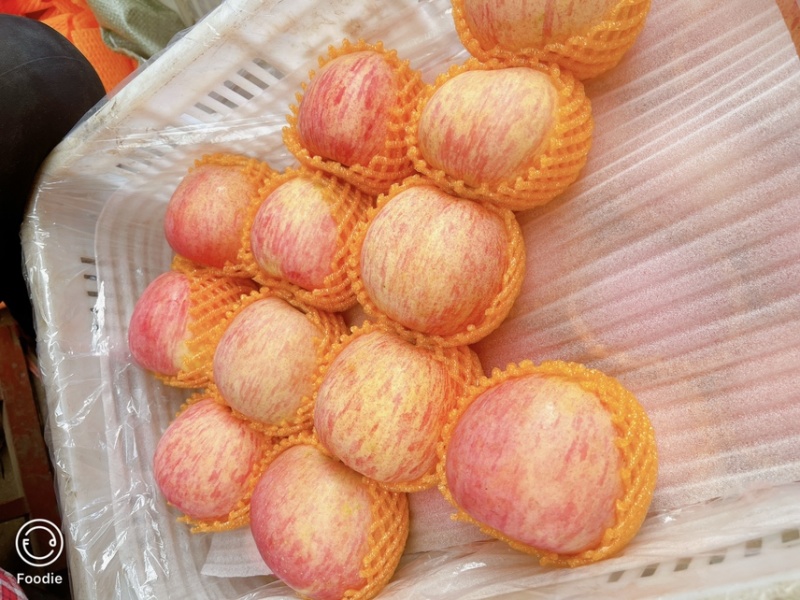 精品红富士，需要的联系，诚信经营
