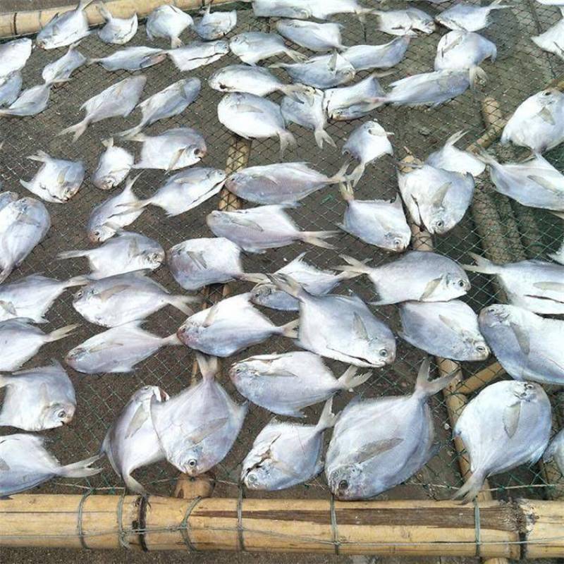 鲳鱼干白仓鱼水产干货咸鲳鱼腌制咸鱼海鲜银鲳鱼海产鱼类海